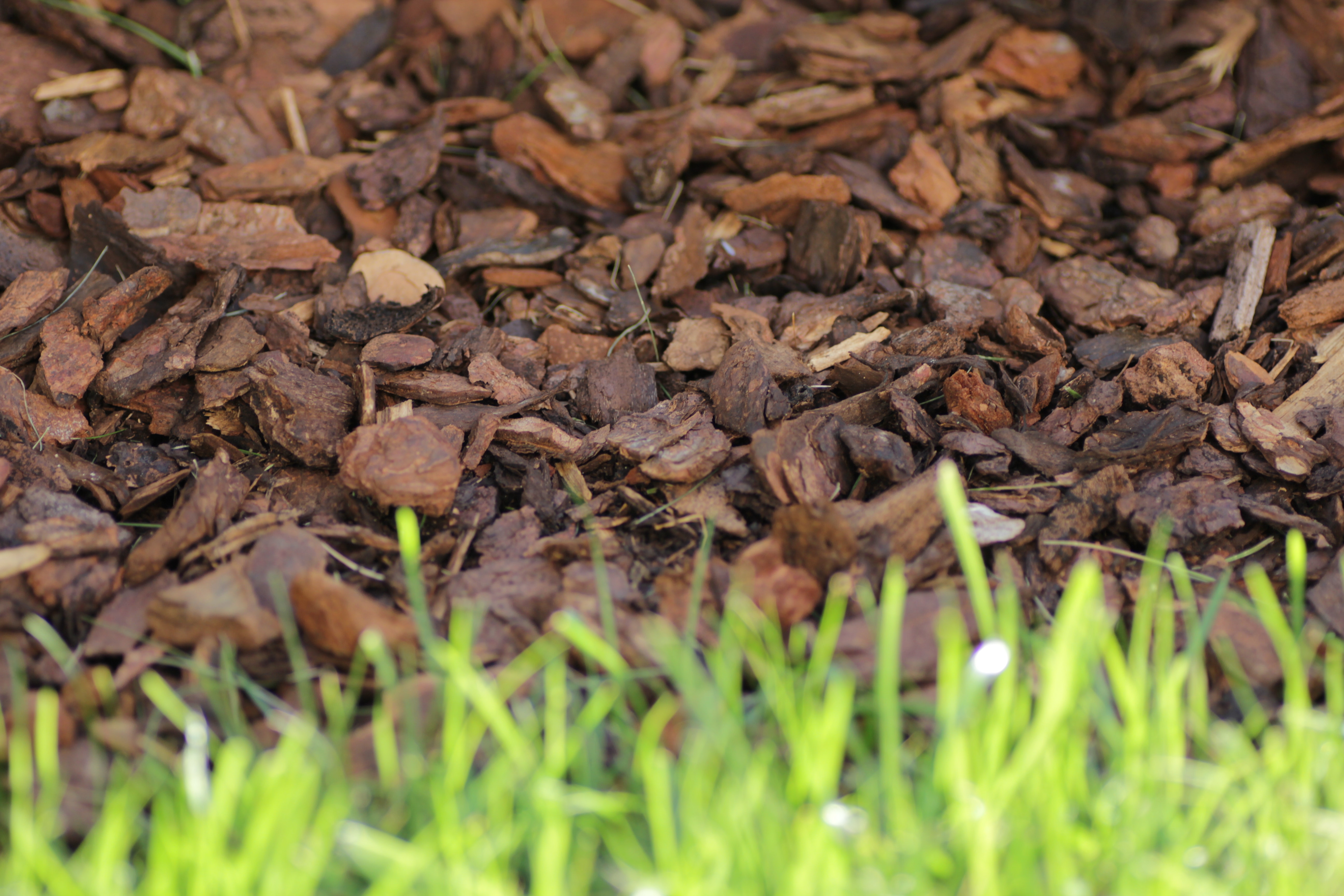 Mulching